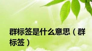 群标签是什么意思（群标签）