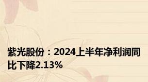 紫光股份：2024上半年净利润同比下降2.13%