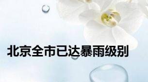 北京全市已达暴雨级别