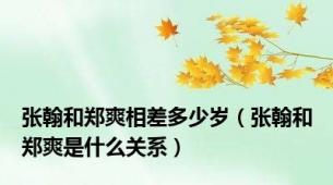 张翰和郑爽相差多少岁（张翰和郑爽是什么关系）