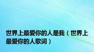 世界上最爱你的人是我（世界上最爱你的人歌词）