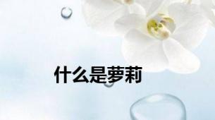 什么是萝莉