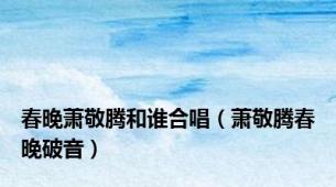 春晚萧敬腾和谁合唱（萧敬腾春晚破音）