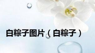 白粽子图片（白粽子）