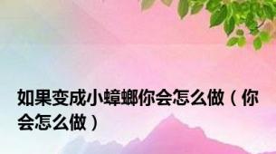 如果变成小蟑螂你会怎么做（你会怎么做）