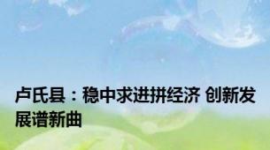 卢氏县：稳中求进拼经济 创新发展谱新曲