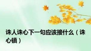 诛人诛心下一句应该接什么（诛心镇）