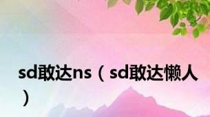 sd敢达ns（sd敢达懒人）