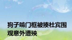 狗子啃门框被揍杜宾围观意外遭殃
