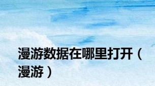 漫游数据在哪里打开（漫游）
