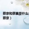 蔡京和蔡襄是什么关系（蔡京）