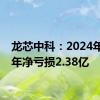 龙芯中科：2024年上半年净亏损2.38亿