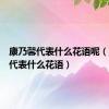 康乃馨代表什么花语呢（康乃馨代表什么花语）