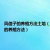 风信子的养殖方法土培（风信子的养殖方法）