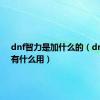 dnf智力是加什么的（dnf智力有什么用）