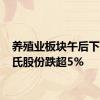 养殖业板块午后下挫 温氏股份跌超5%