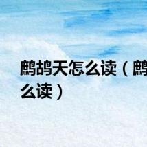 鹧鸪天怎么读（鹧鸪怎么读）