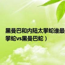 黑曼巴和内陆太攀蛇谁最毒(太攀蛇vs黑曼巴蛇)