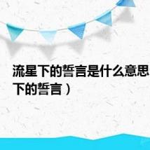 流星下的誓言是什么意思（流星下的誓言）