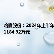 哈森股份:2024年上半年净亏损1184.92万元