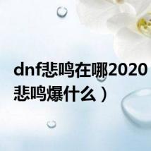 dnf悲鸣在哪2020（dnf悲鸣爆什么）