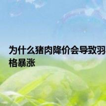 为什么猪肉降价会导致羽毛球价格暴涨