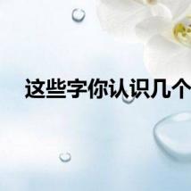 这些字你认识几个？