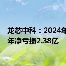 龙芯中科:2024年上半年净亏损2.38亿