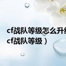 cf战队等级怎么升级快(cf战队等级)