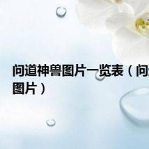 问道神兽图片一览表(问道神兽图片)