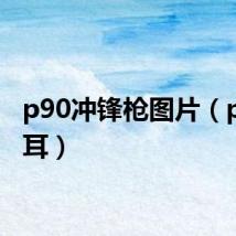 p90冲锋枪图片(p90兔耳)