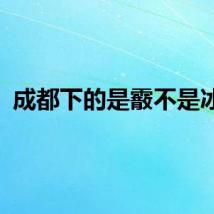 成都下的是霰不是冰雹