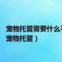 宠物托管需要什么手续（宠物托管）