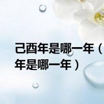 己酉年是哪一年(戊申年是哪一年)