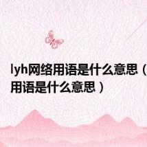 lyh网络用语是什么意思(ly网络用语是什么意思)