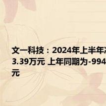 文一科技:2024年上半年净利润803.39万元 上年同期为-9949.34万元