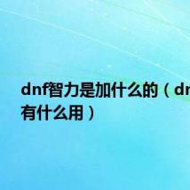 dnf智力是加什么的(dnf智力有什么用)