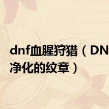 dnf血腥狩猎(DNF血腥净化的纹章)