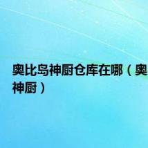 奥比岛神厨仓库在哪(奥比岛小神厨)