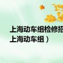 上海动车组检修招聘（上海动车组）