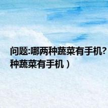 问题:哪两种蔬菜有手机?(哪两种蔬菜有手机)