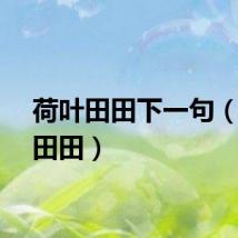 荷叶田田下一句（荷叶田田）
