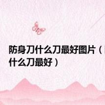 防身刀什么刀最好图片(防身刀什么刀最好)