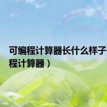 可编程计算器长什么样子(可编程计算器)