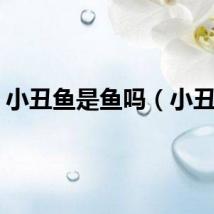 小丑鱼是鱼吗（小丑鱼）
