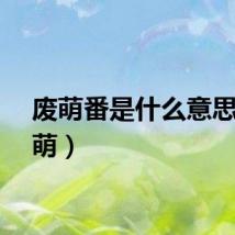 废萌番是什么意思（废萌）