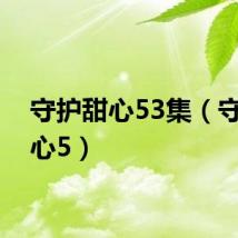 守护甜心53集（守护甜心5）