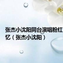 张杰小沈阳同台演唱粉红色的回忆（张杰小沈阳）