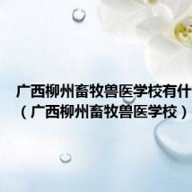广西柳州畜牧兽医学校有什么专业(广西柳州畜牧兽医学校)