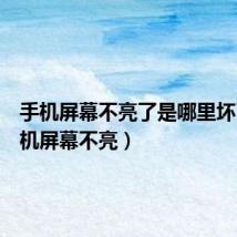 手机屏幕不亮了是哪里坏了(手机屏幕不亮)